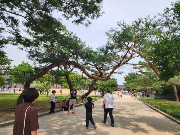 KakaoTalk_20240611_174049737_12.jpg